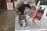 Sale Photo Thumbnail #1