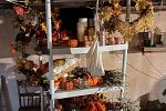 Sale Photo Thumbnail #23