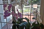 Sale Photo Thumbnail #32