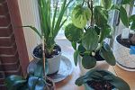 Sale Photo Thumbnail #28