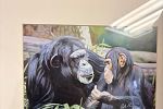 Sale Photo Thumbnail #22
