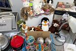 Sale Photo Thumbnail #10