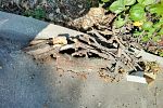 Sale Photo Thumbnail #25