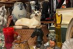 Sale Photo Thumbnail #11