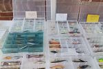 Sale Photo Thumbnail #11