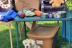 Sale Photo Thumbnail #30