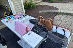 Sale Photo Thumbnail #2