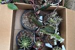 Sale Photo Thumbnail #20