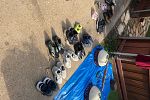 Sale Photo Thumbnail #11