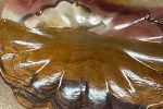 Sale Photo Thumbnail #21