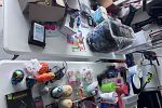 Sale Photo Thumbnail #8