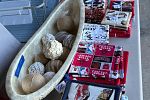 Sale Photo Thumbnail #14