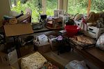 Sale Photo Thumbnail #12