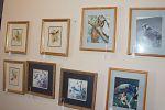 Sale Photo Thumbnail #32