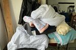 Sale Photo Thumbnail #20