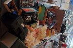 Sale Photo Thumbnail #10