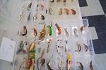 Sale Photo Thumbnail #25