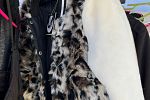Sale Photo Thumbnail #27