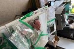 Sale Photo Thumbnail #5
