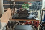 Sale Photo Thumbnail #46