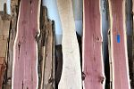 Sale Photo Thumbnail #25