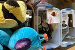 Sale Photo Thumbnail #11