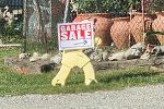 Sale Photo Thumbnail #12