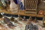 Sale Photo Thumbnail #24