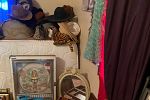 Sale Photo Thumbnail #19