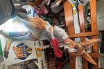 Sale Photo Thumbnail #20
