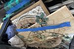 Sale Photo Thumbnail #8