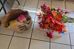 Sale Photo Thumbnail #16