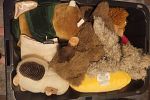 Sale Photo Thumbnail #13