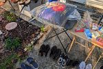 Sale Photo Thumbnail #16