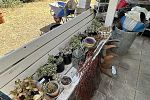 Sale Photo Thumbnail #24
