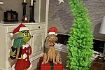 Sale Photo Thumbnail #18