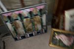 Sale Photo Thumbnail #18