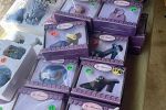 Sale Photo Thumbnail #22