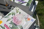 Sale Photo Thumbnail #4