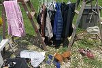 Sale Photo Thumbnail #7