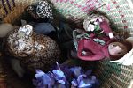 Sale Photo Thumbnail #2