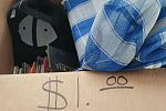 Sale Photo Thumbnail #23