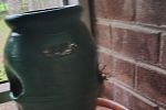 Sale Photo Thumbnail #22
