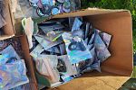 Sale Photo Thumbnail #36