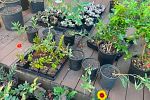 Sale Photo Thumbnail #4