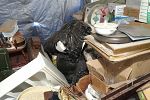 Sale Photo Thumbnail #29