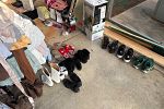 Sale Photo Thumbnail #8