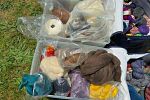 Sale Photo Thumbnail #7