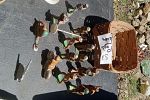 Sale Photo Thumbnail #19
