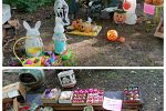 Sale Photo Thumbnail #13